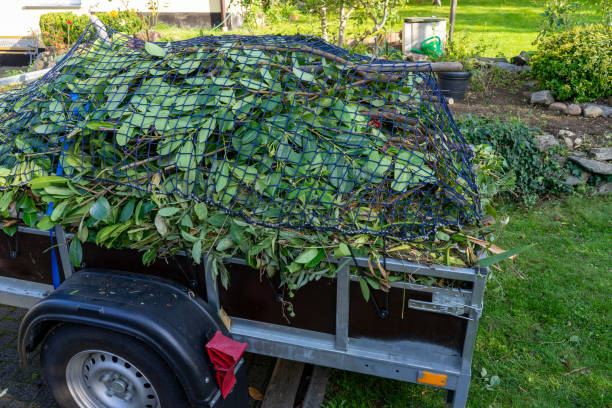 Best Commercial Junk Removal  in South Charleston, WV